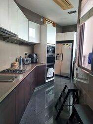 Belle Vue Residences (D9), Condominium #556493911